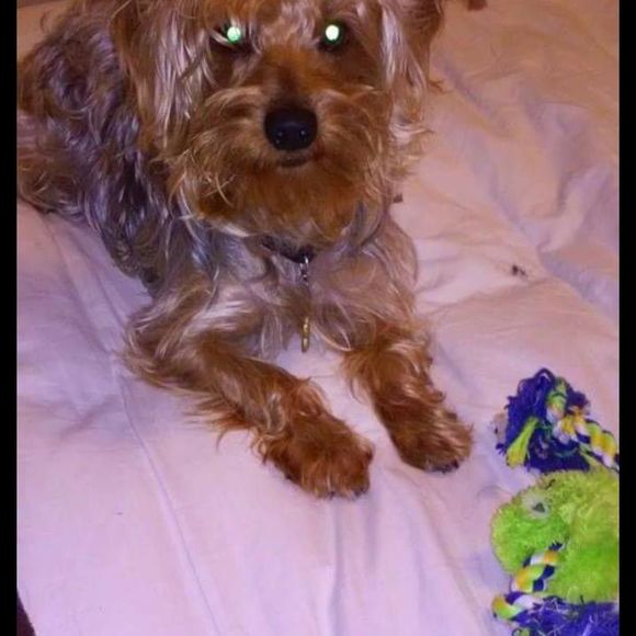 Meet your Posher, Sherell - Picture 1 of 1